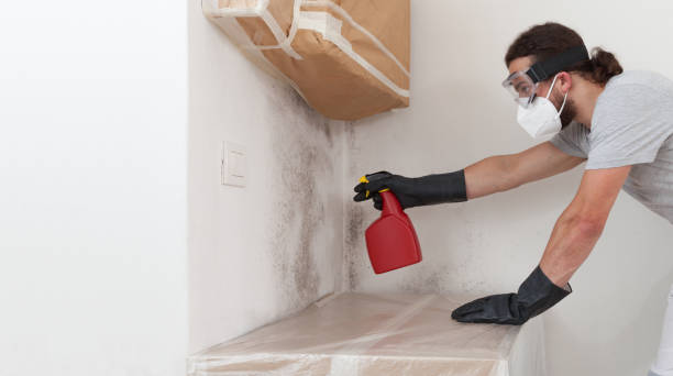 Professional Attic Mold Removal technician working in Brutus, MI