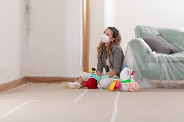 Reliable Attic Mold Removal contractor in Brutus, MI by WQB Mold Removal